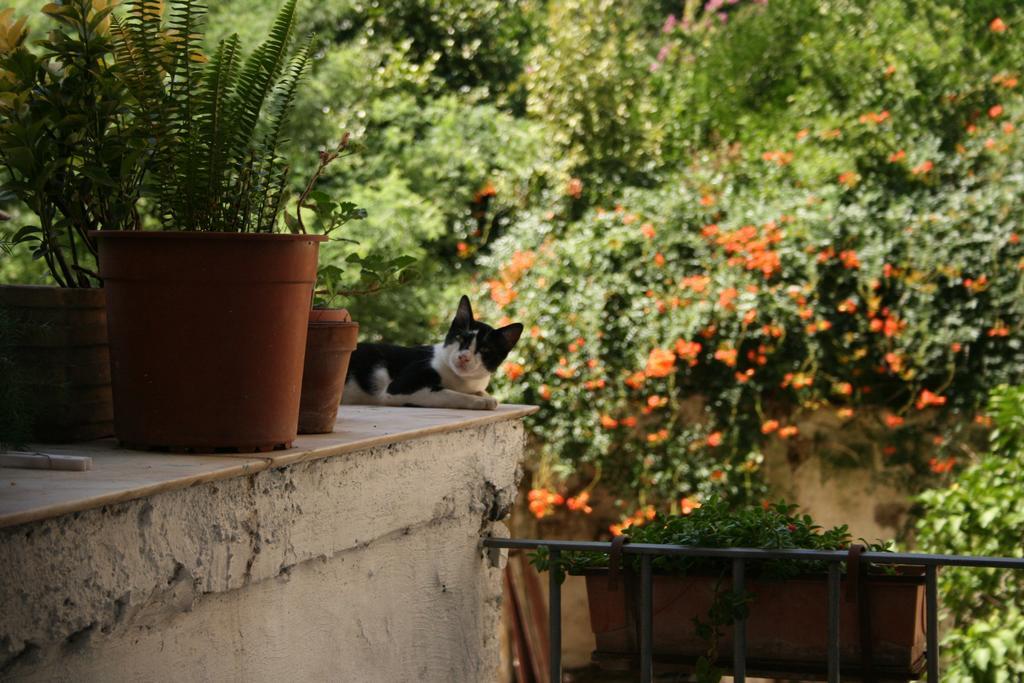 B&B Ingiropernapoli 外观 照片